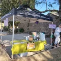 Festival